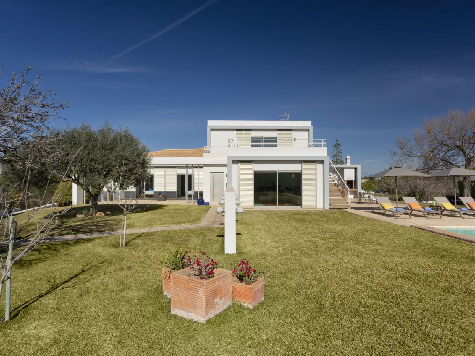Almond Tree-Outside