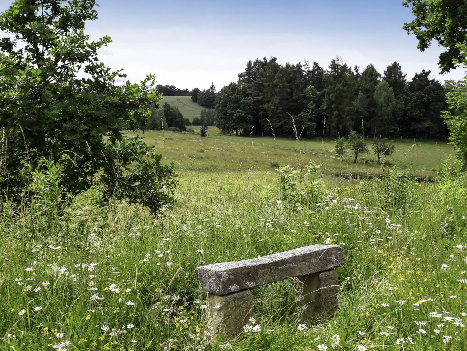 Dom na Skraju-Draußen