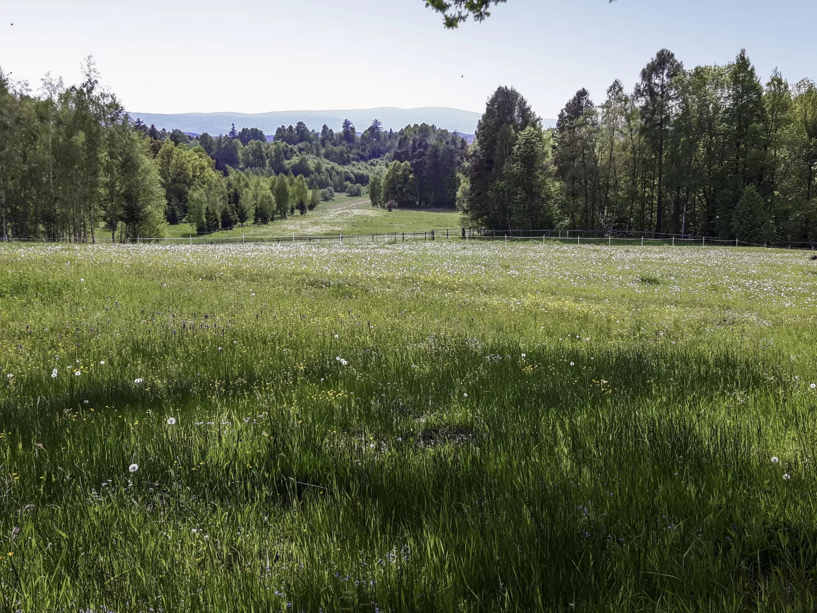 Dom na Skraju-Draußen