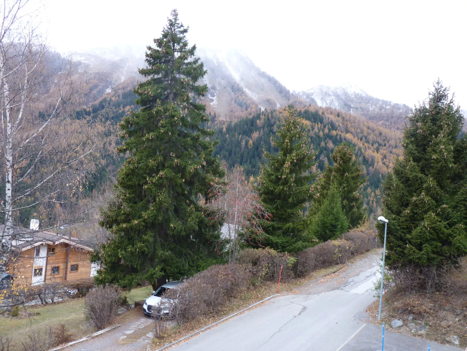 Heida A 5-Dehors