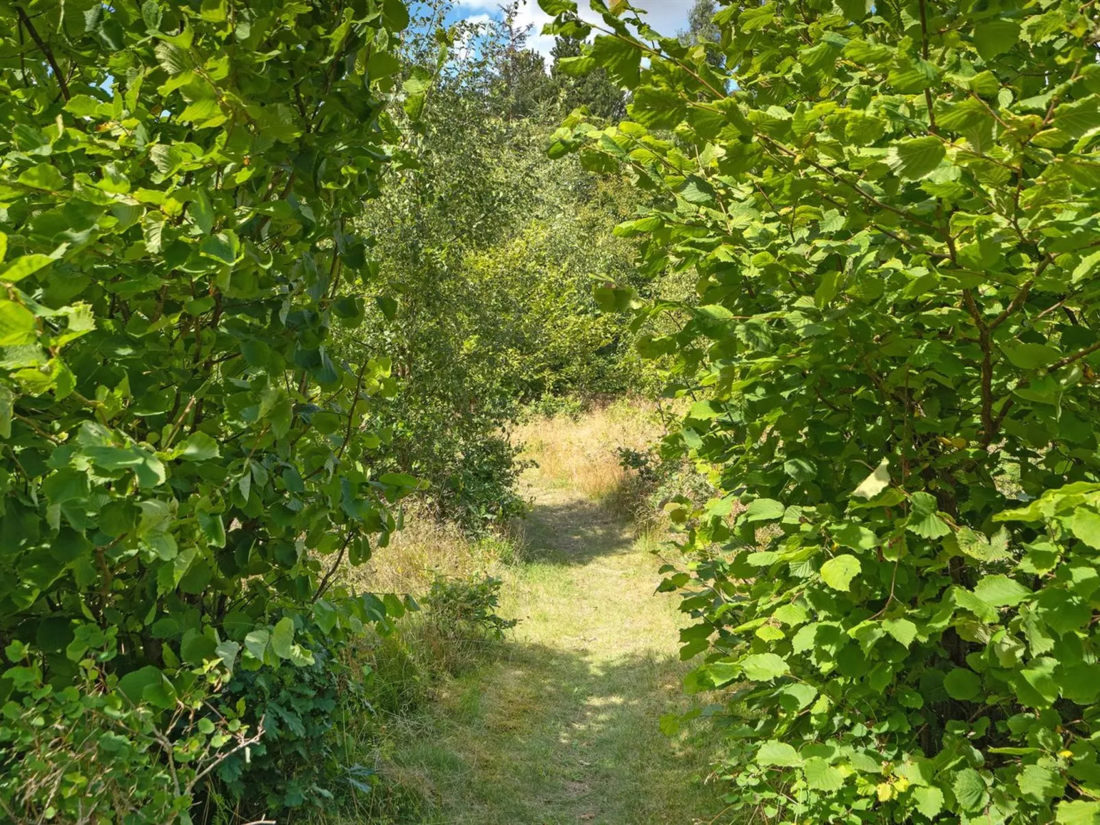 "Thorine" - 750m from the sea-Outside