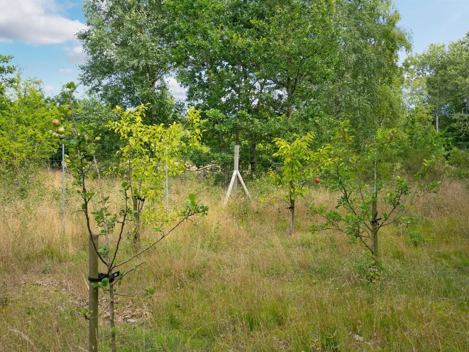 "Thorine" - 750m from the sea-Outside