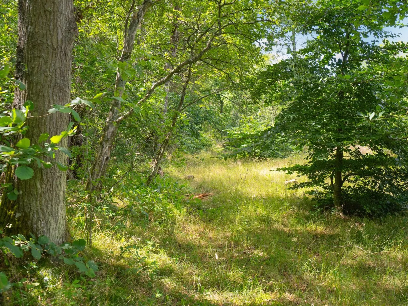 "Thorine" - 750m from the sea-Outside