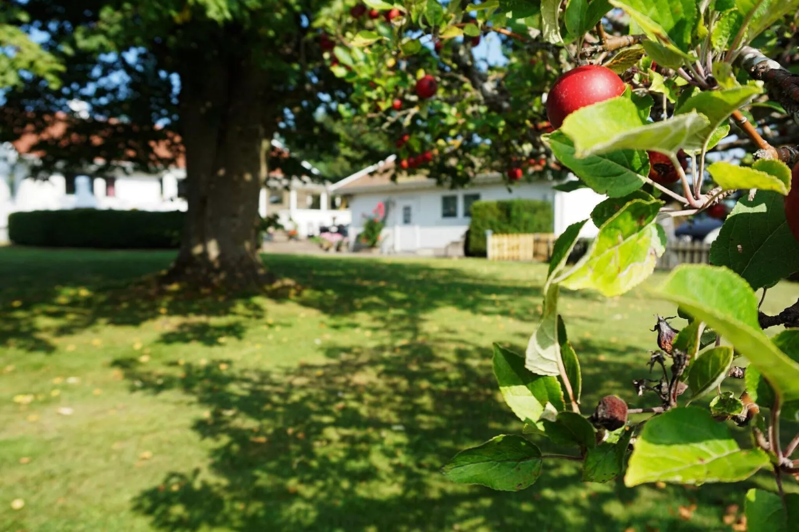 10 person holiday home in ÅSA-Outdoor