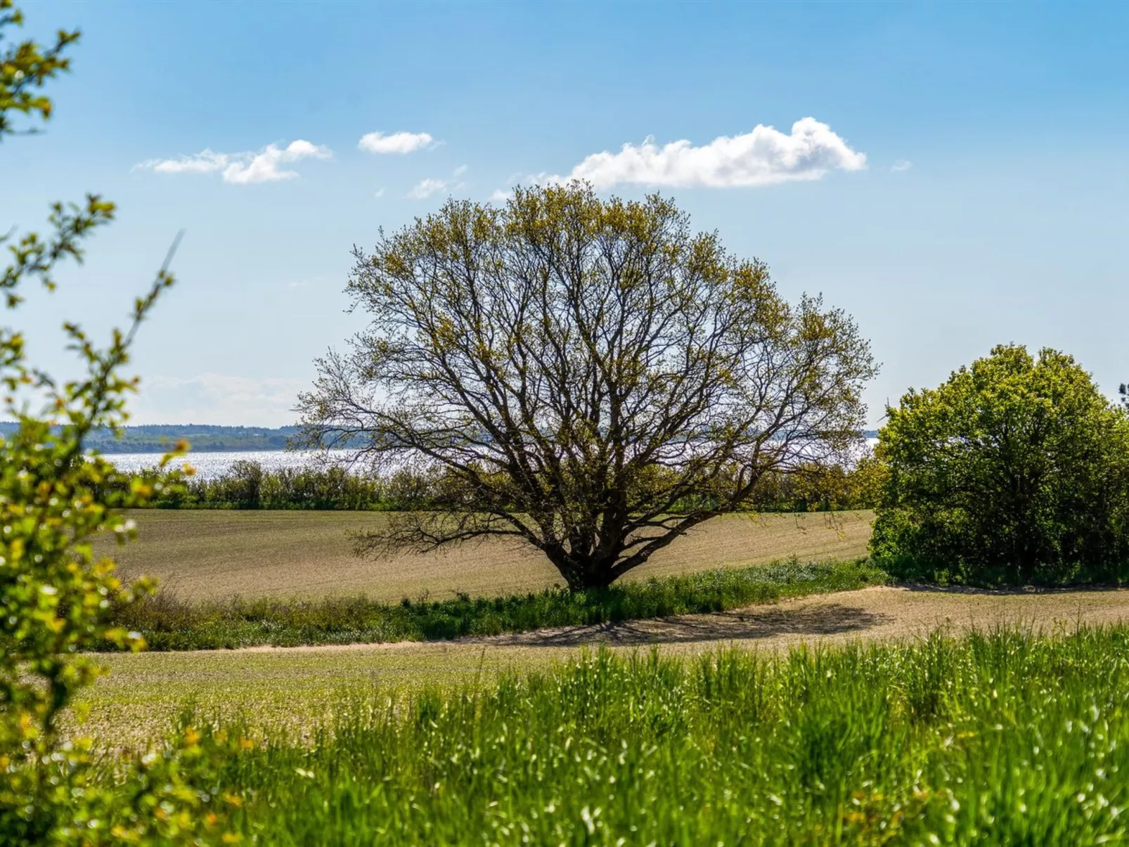 "Frellaf" - 250m from the sea-Outside