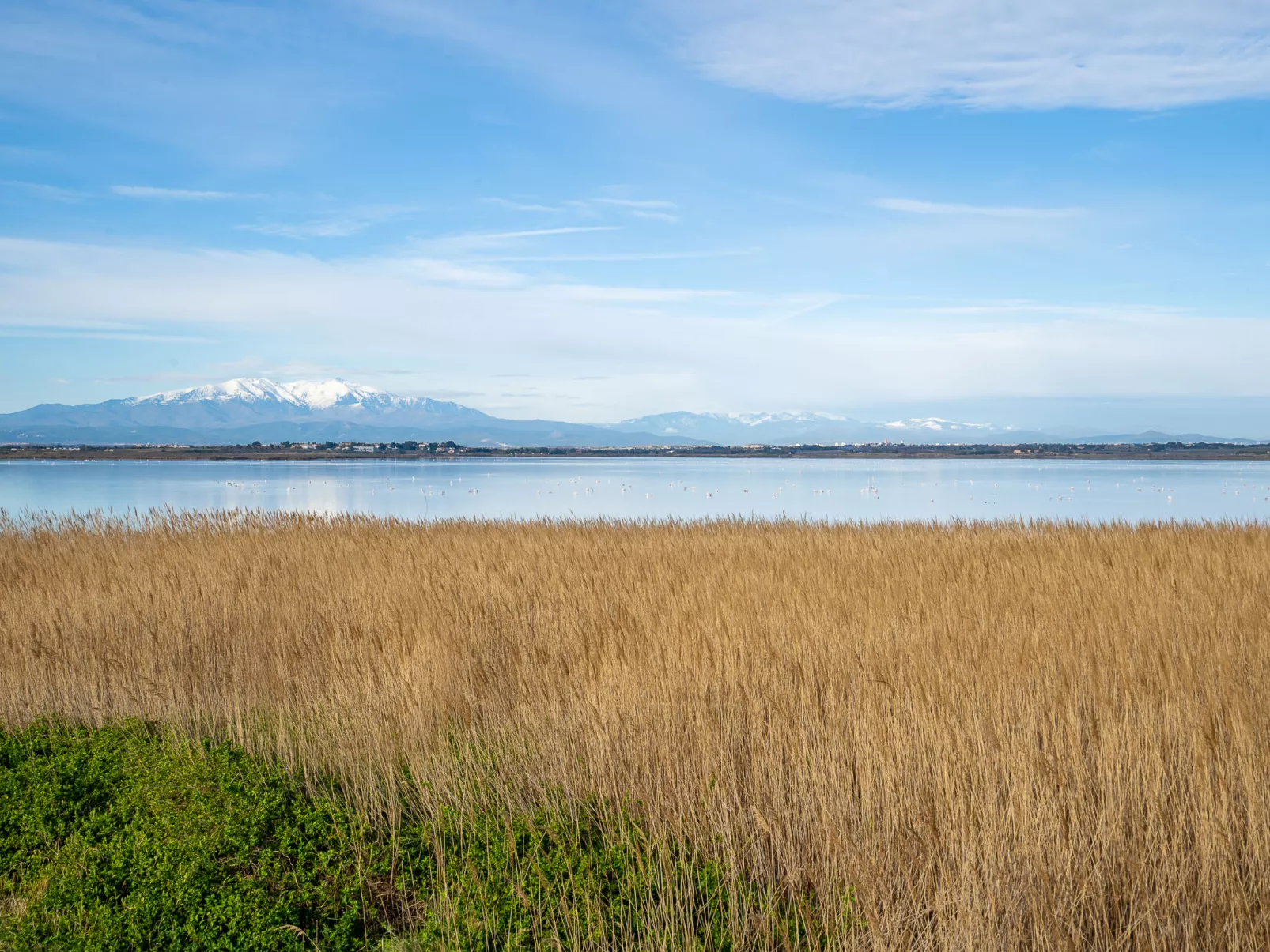 Cap Sud-Area