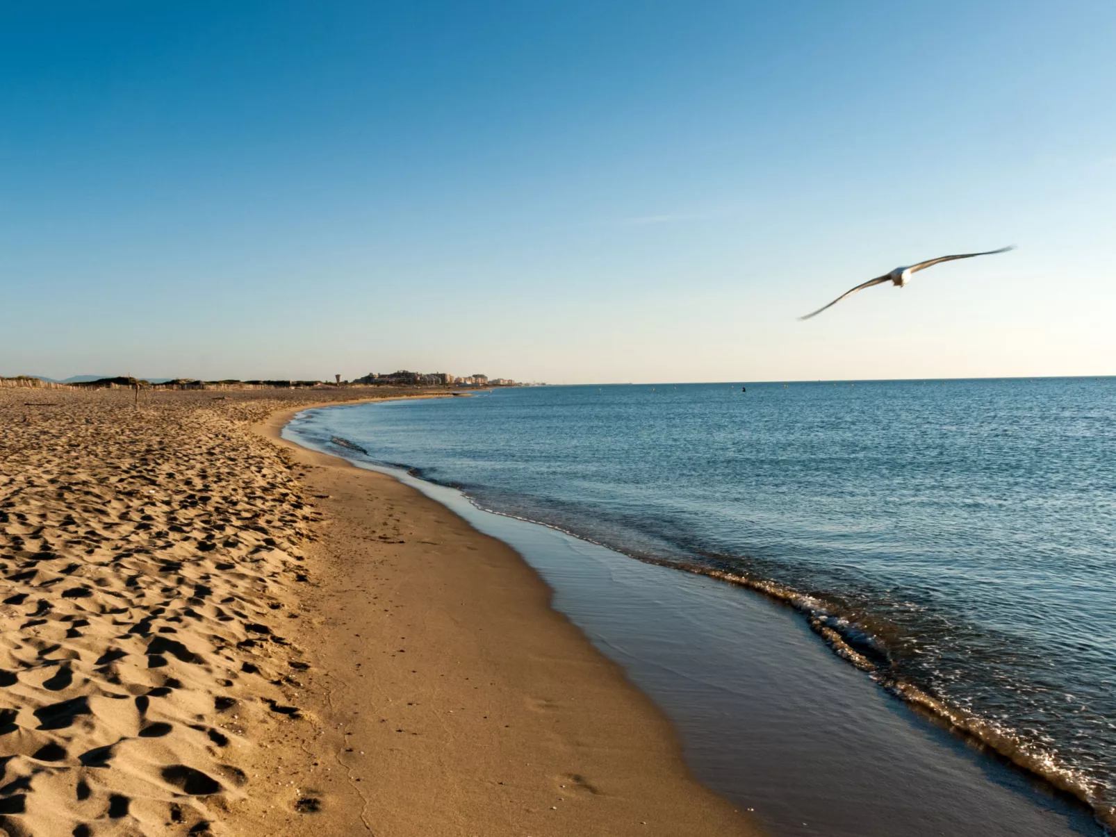 Cap Sud-Area