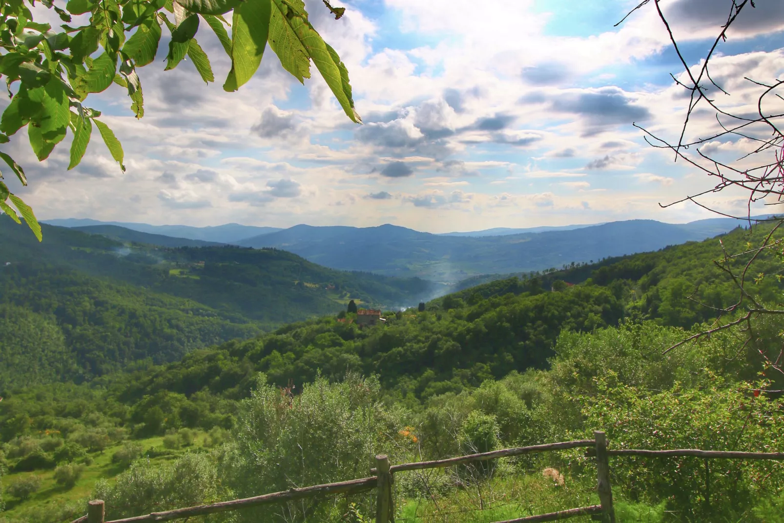 Casina Papi-View summer