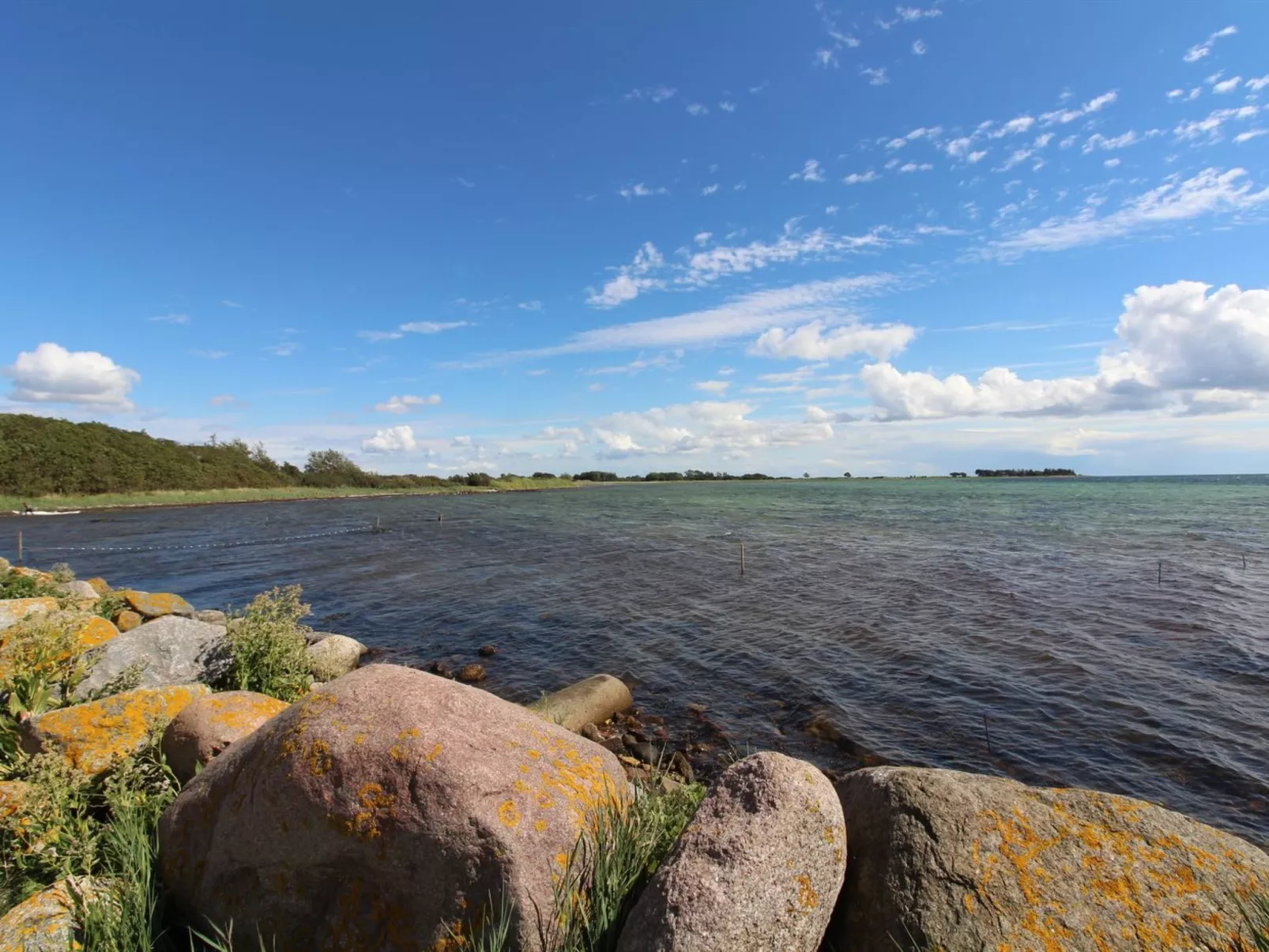 "Wrage" - 500m from the sea-Outside