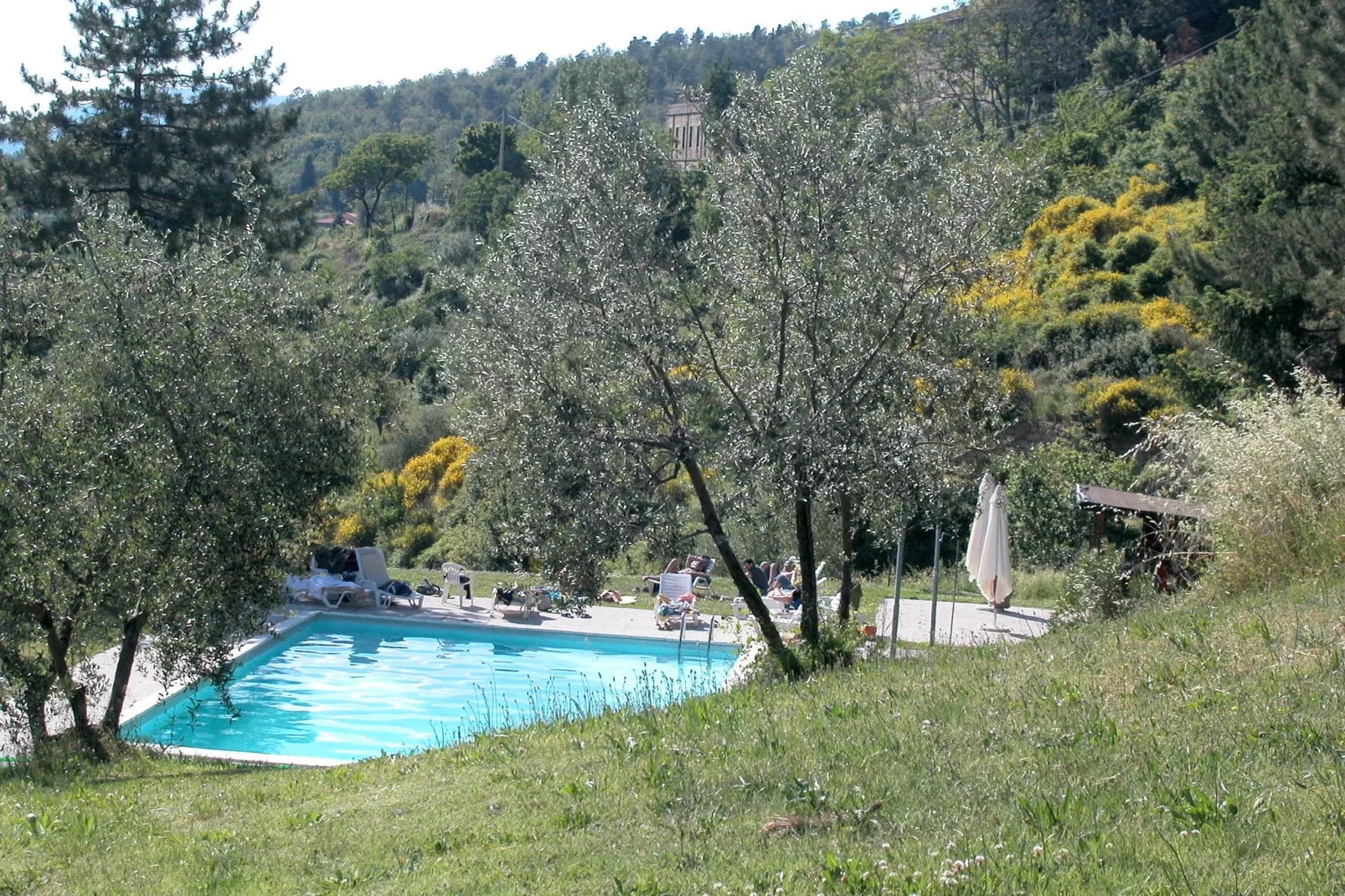 Casa Sequoia-Pool