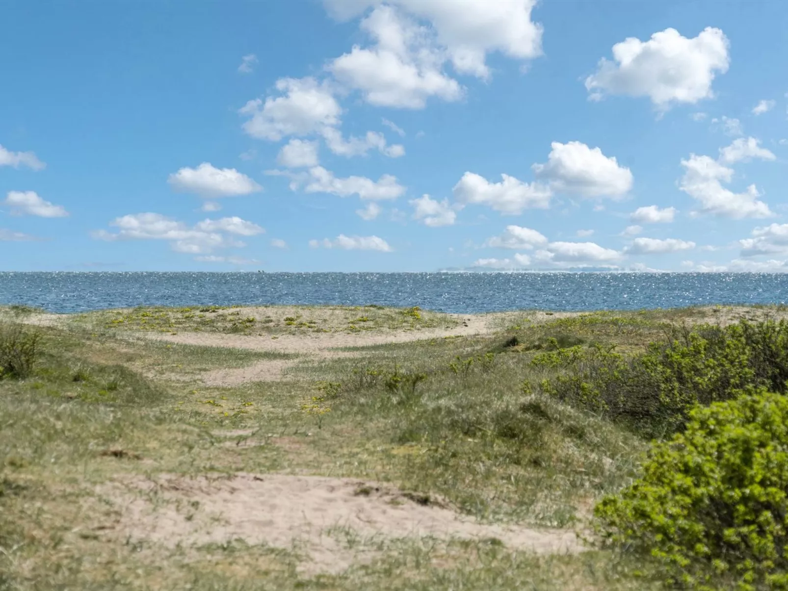 "Asfrith" - 400m from the sea-Outside