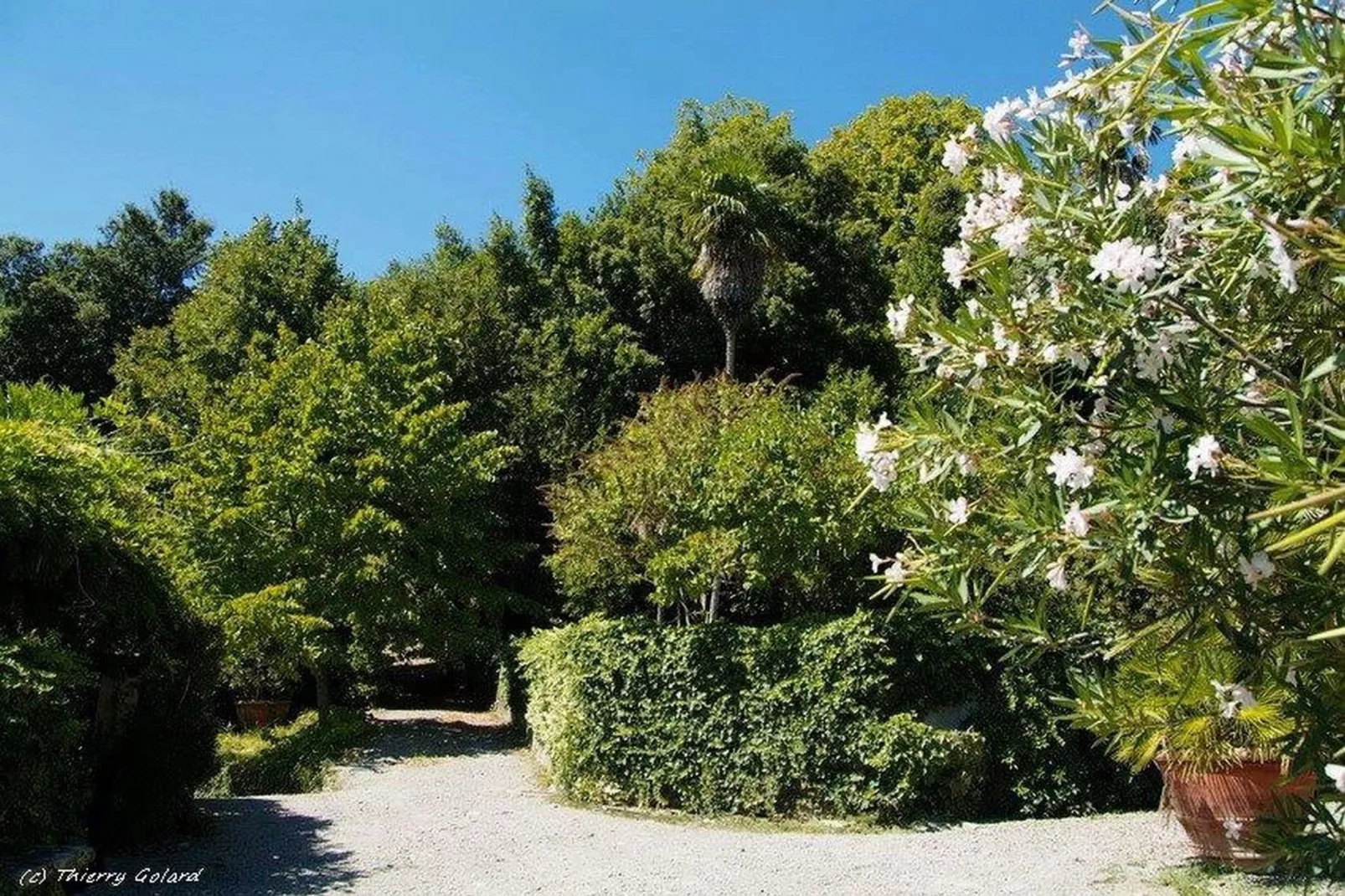 Casa Orcio-Gardens summer