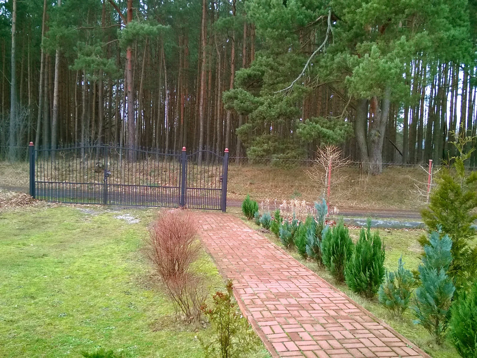 Smołdziński Las-Outside