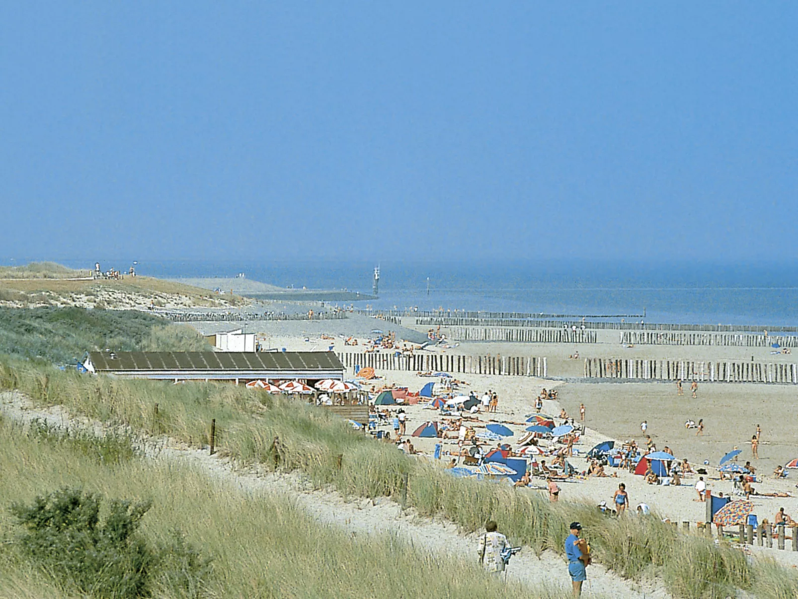 Helmrich-Area