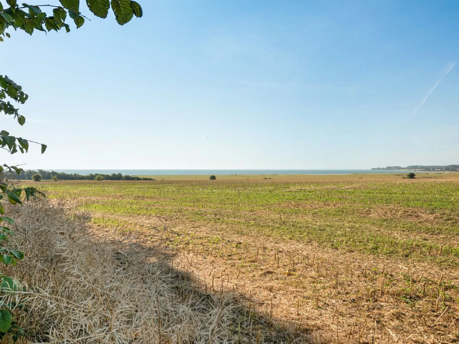 "Myrte" - 500m from the sea-Outside