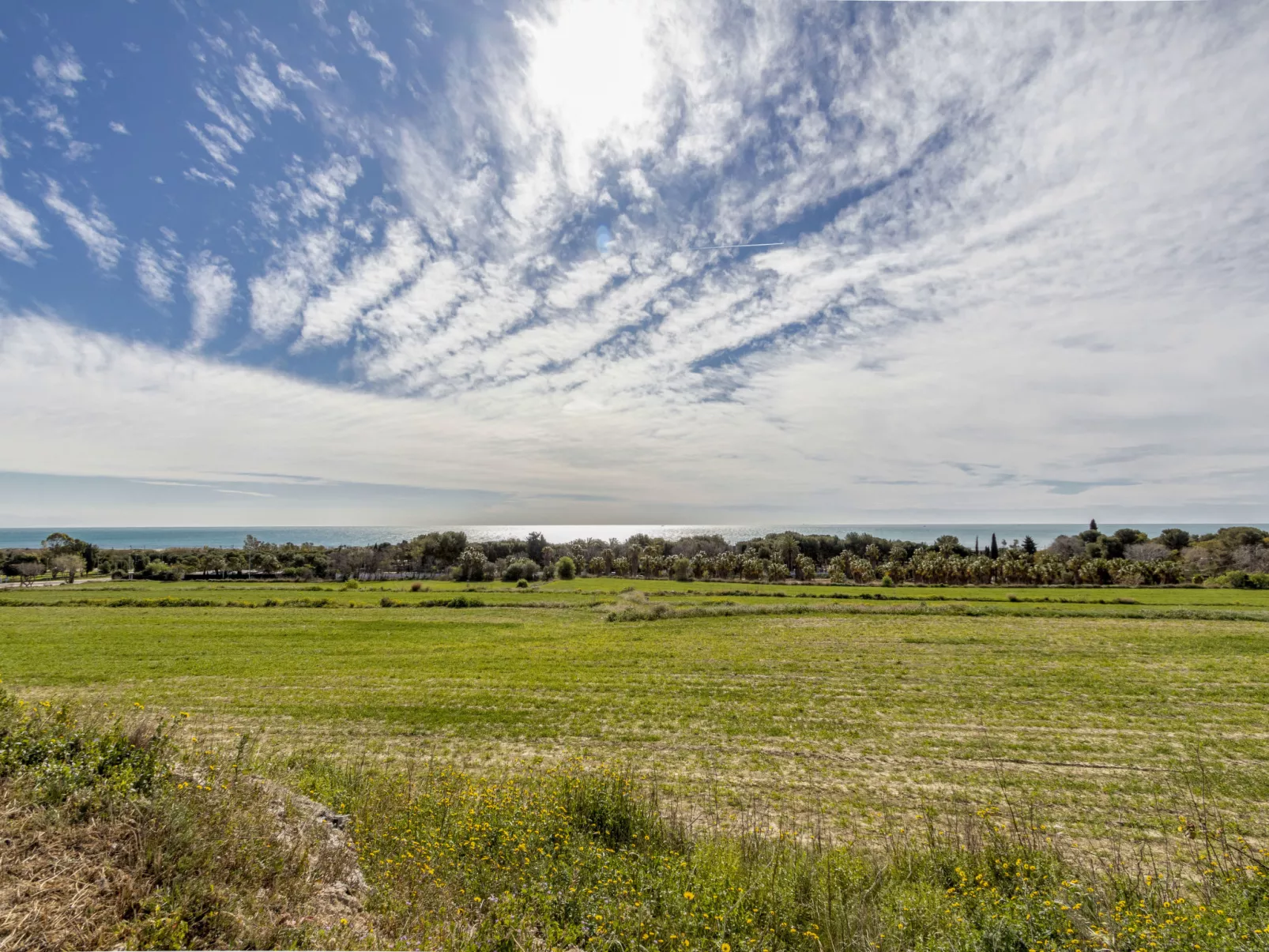 Gavina-Dehors