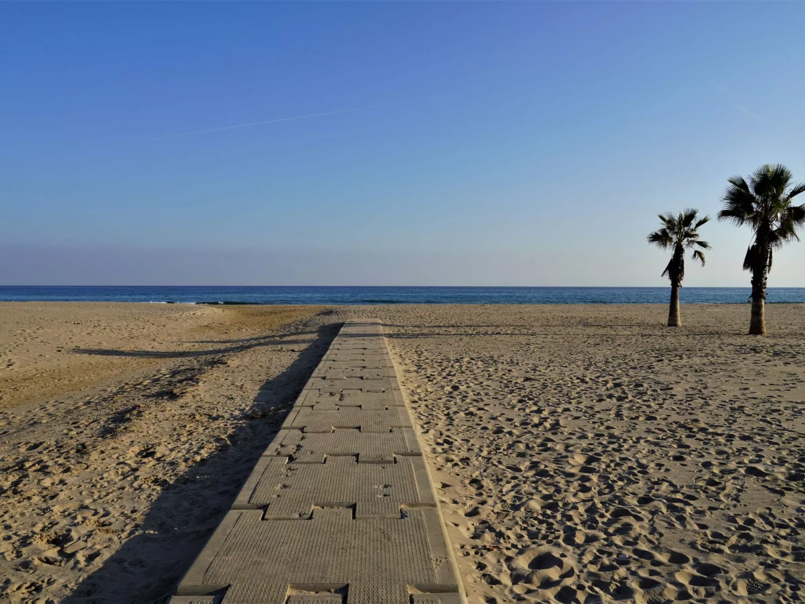 Torremar Alex-Area