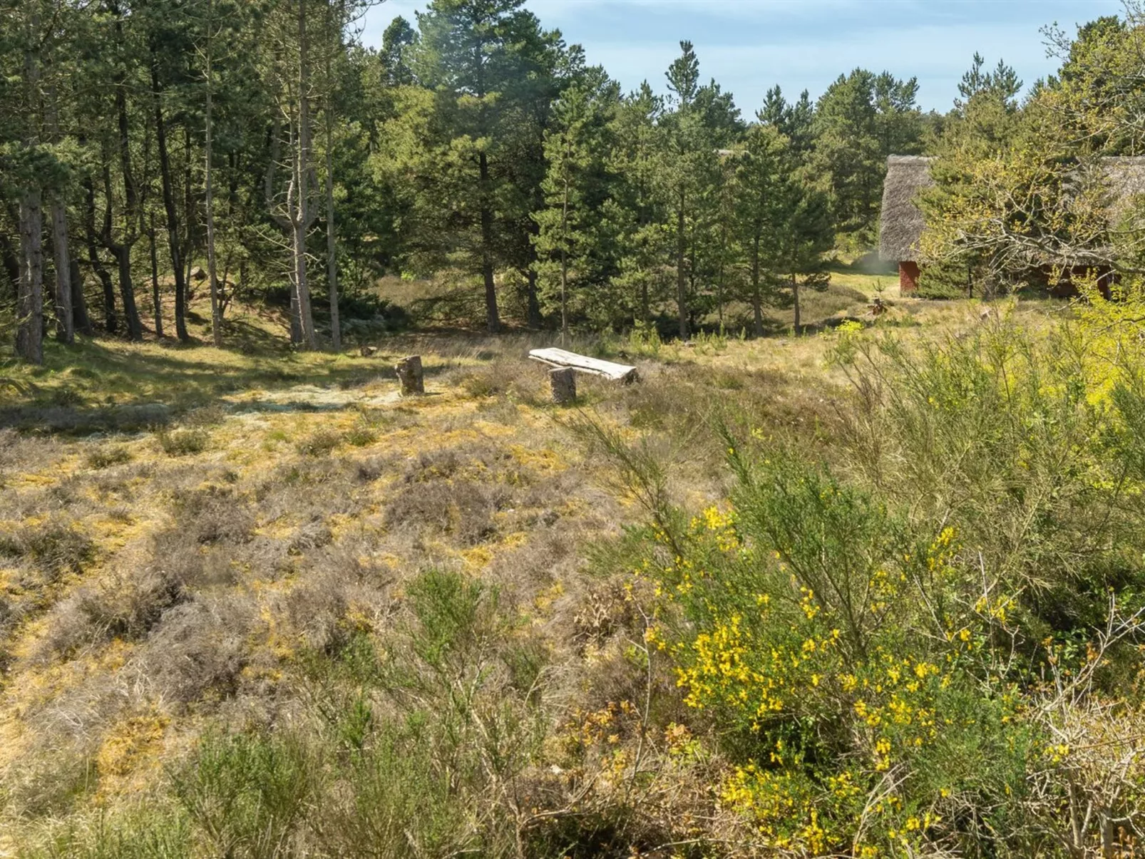 "Ridir" - 3.5km from the sea-Outside
