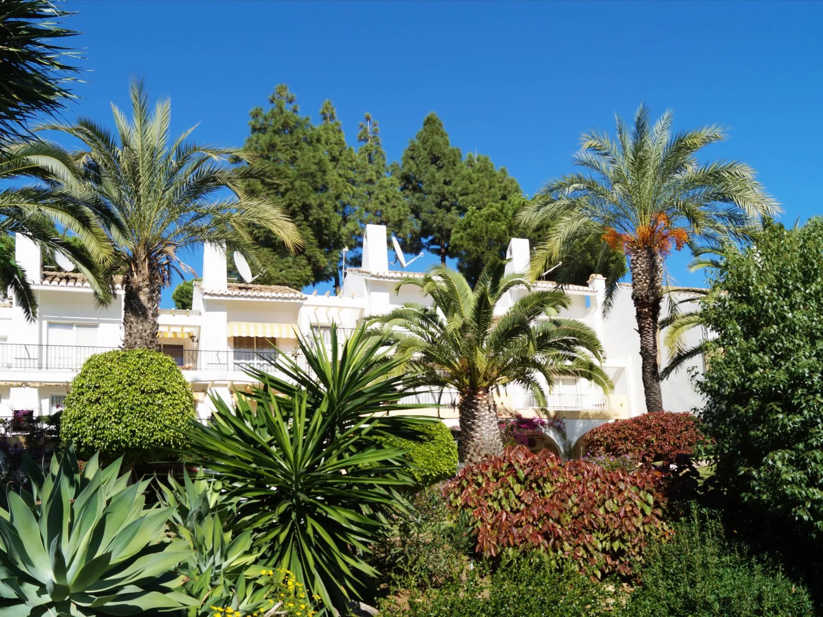 Monte Paraiso-Dehors