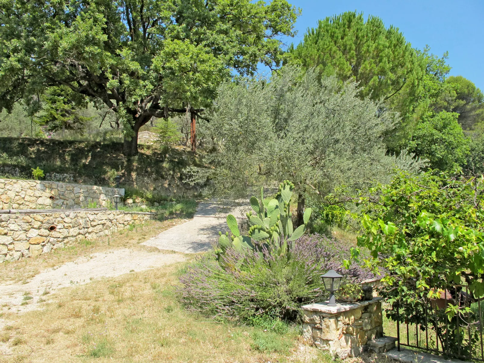 La Foux-Outside