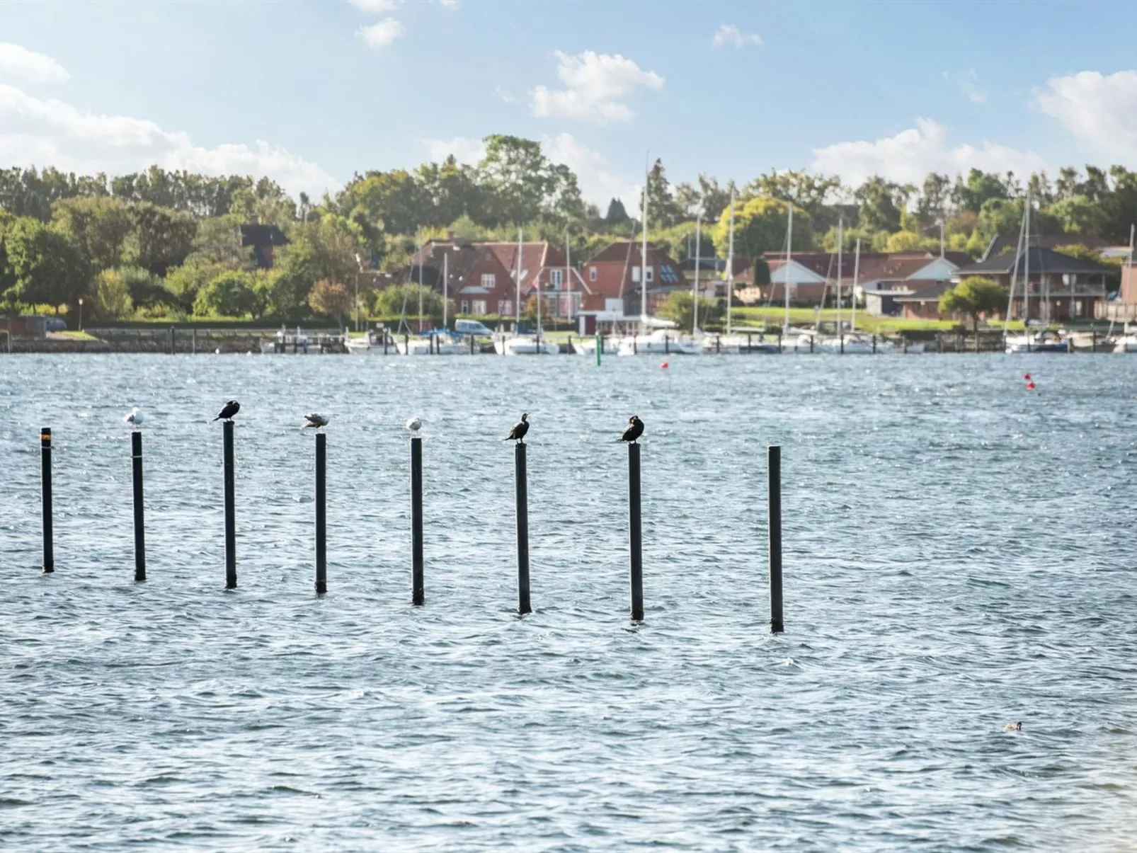 "Joar" - 5m to the inlet-Draußen