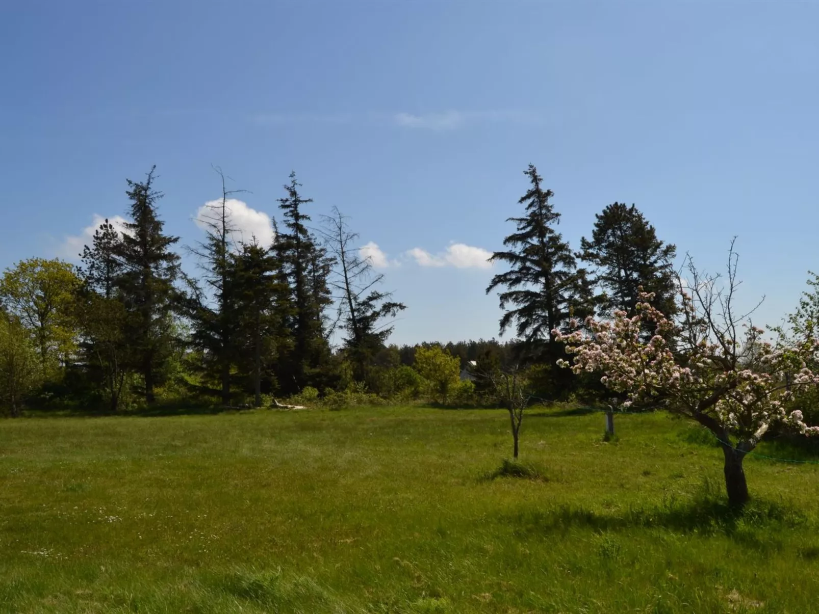 "Botmund" - 3.6km from the sea-Outside