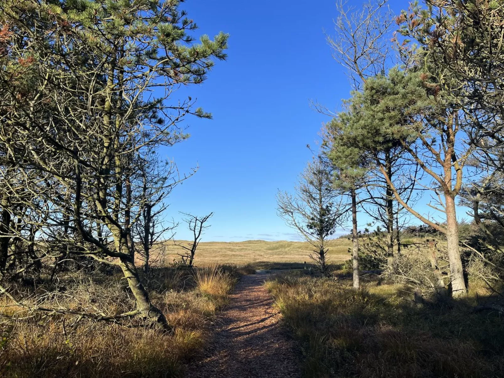 "Nilson" - 1.4km from the sea-Outside