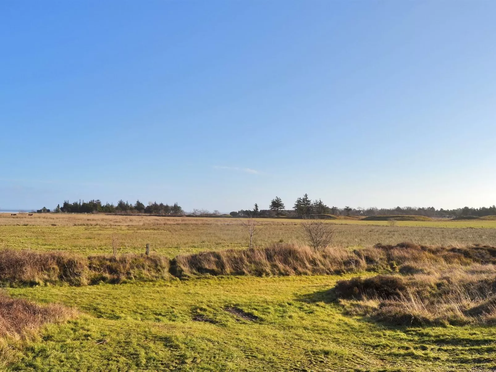 "Clare" - 4km from the sea-Outside