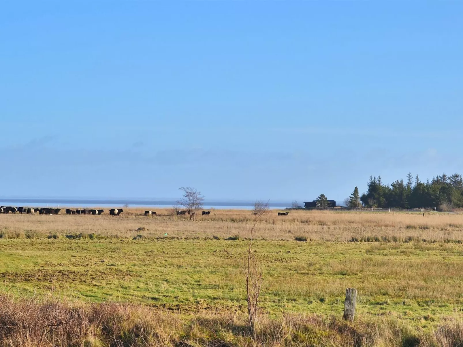 "Clare" - 4km from the sea-Outside