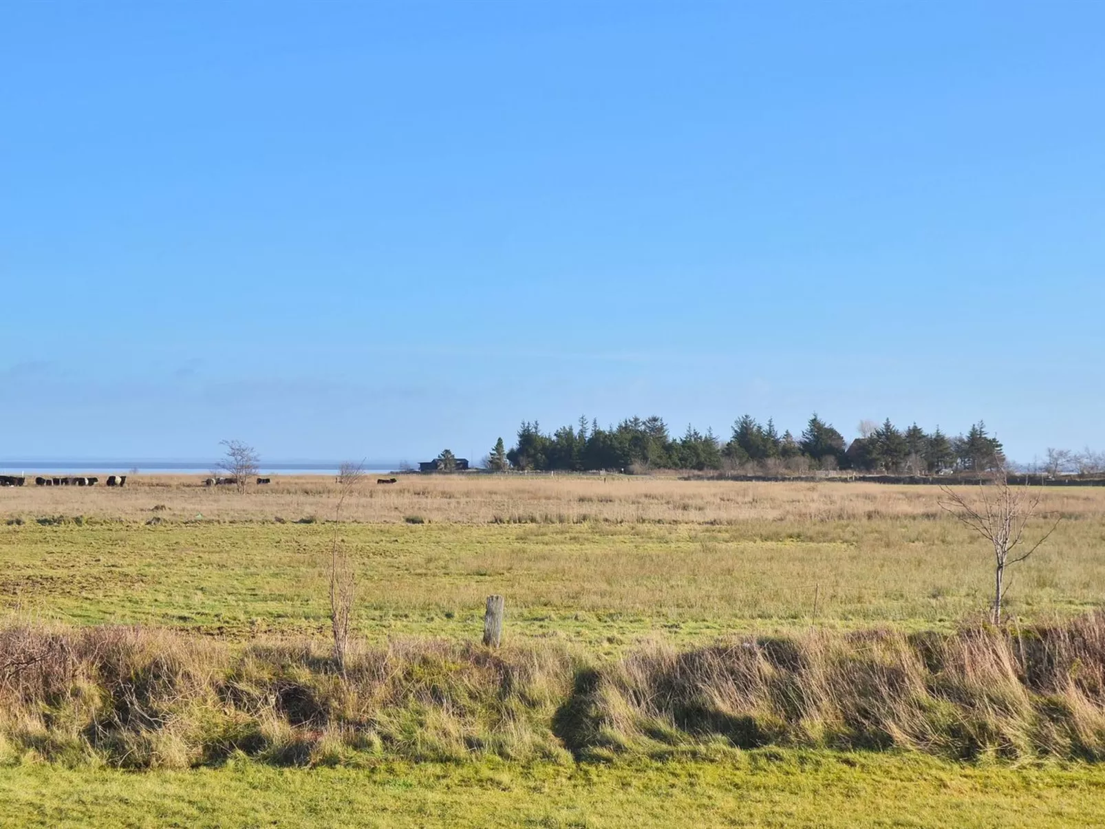 "Clare" - 4km from the sea-Outside