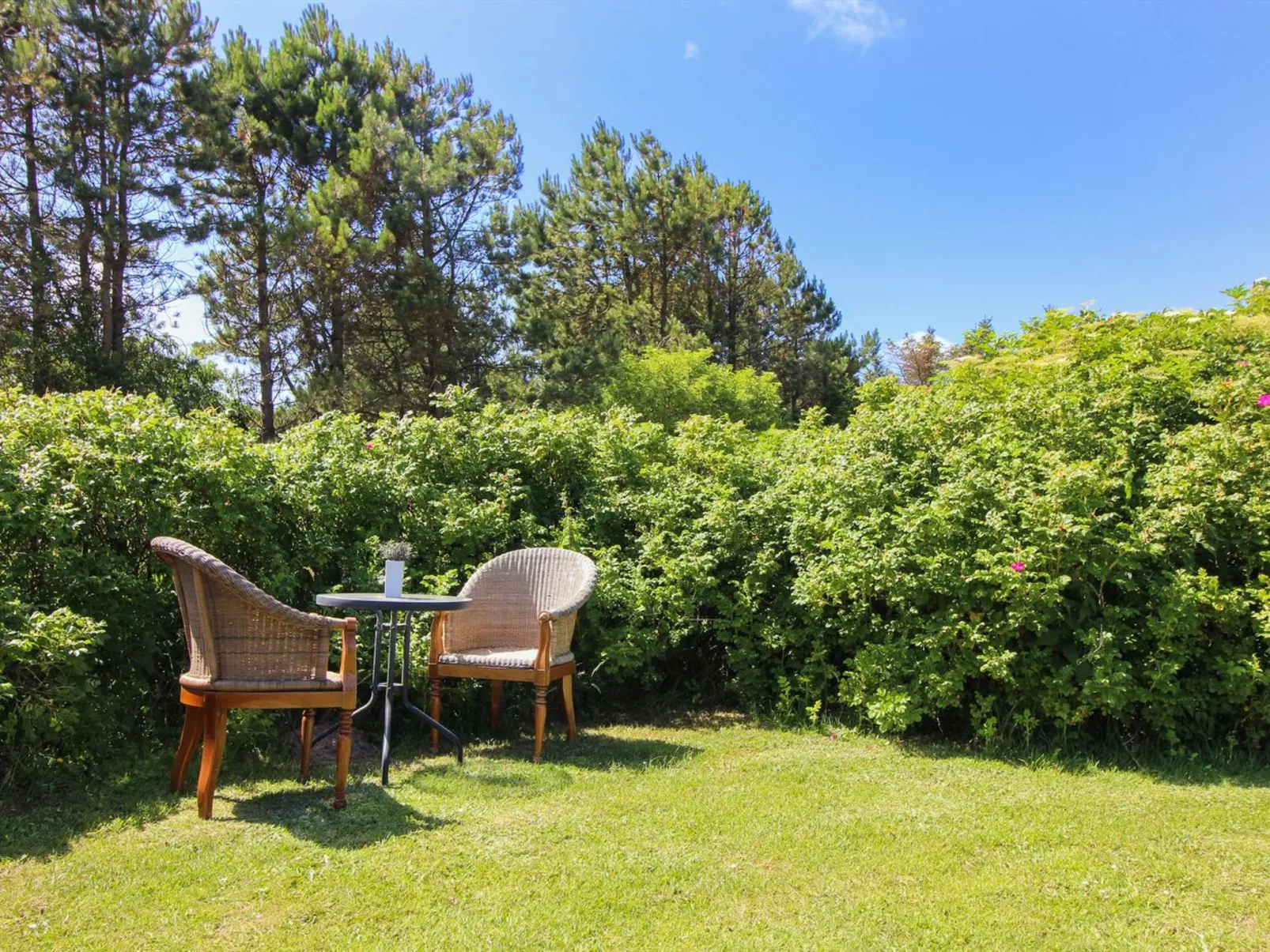 "Bistra" - 400m from the sea-Outside