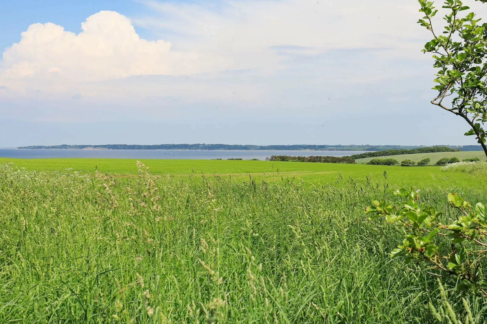 20 person holiday home in Vinderup-By Traum-Water view