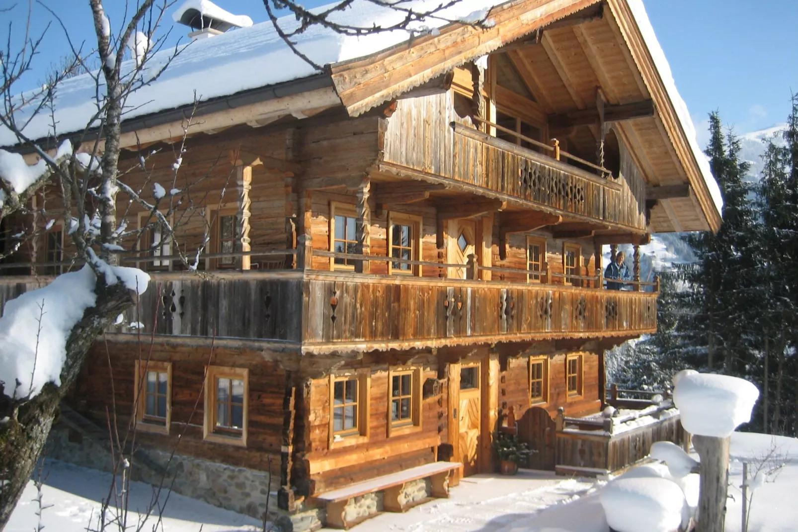 Haus Harpfen-Exterior winter