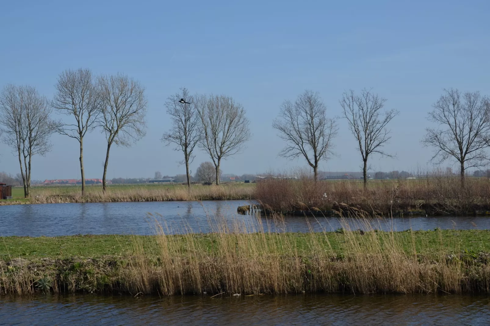 Resort de Rijp 3-Areas summer 5km