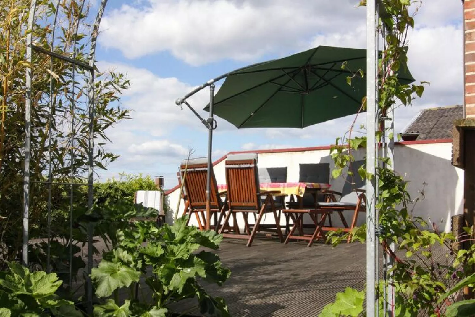 Ferienhaus 110 qm-Außenbereich Sommer