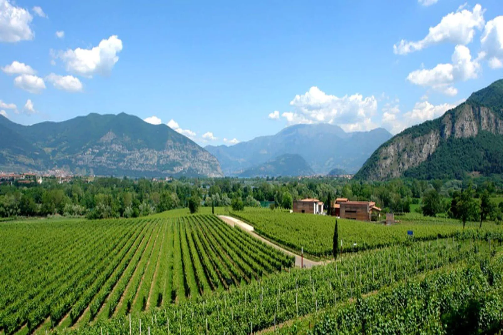 Franciacorta-Areas summer 1km