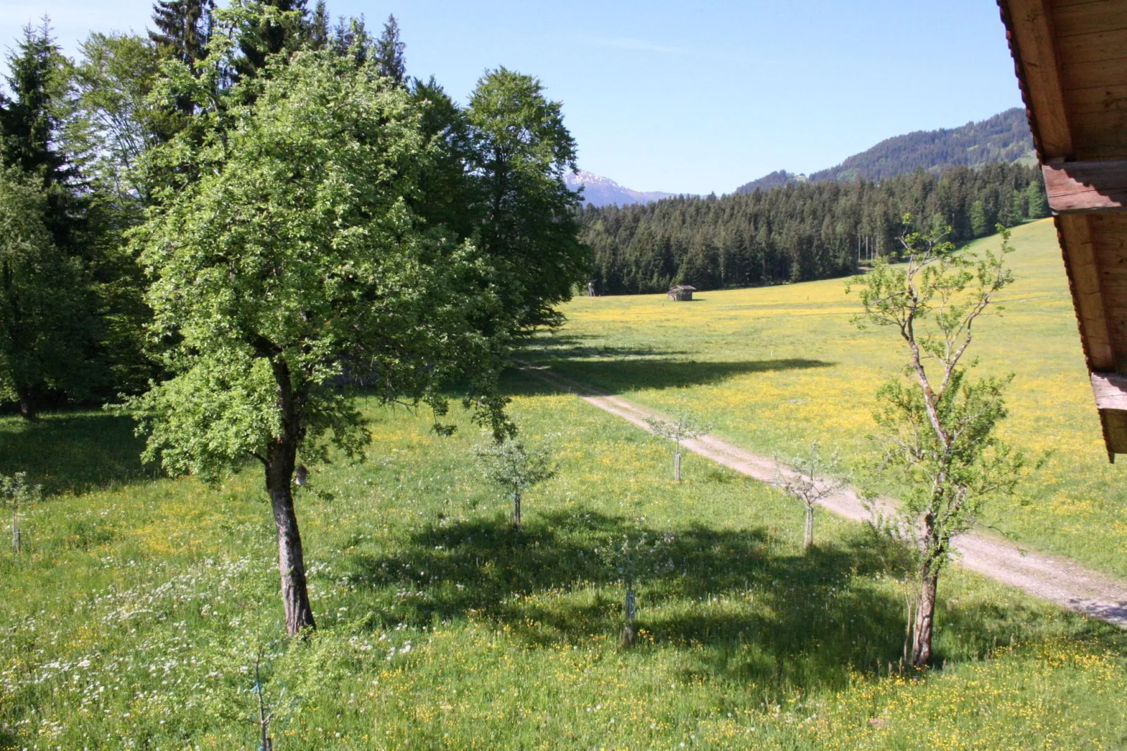 Haus Harpfen-View summer