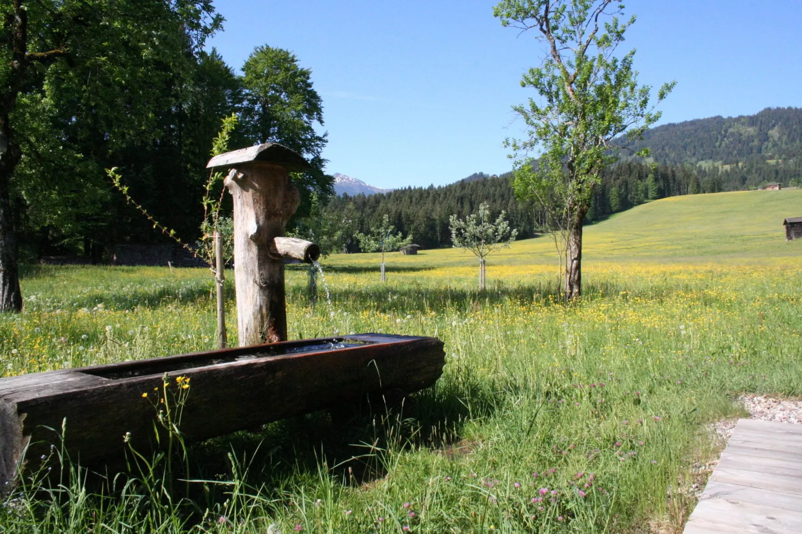 Haus Harpfen-Gardens summer