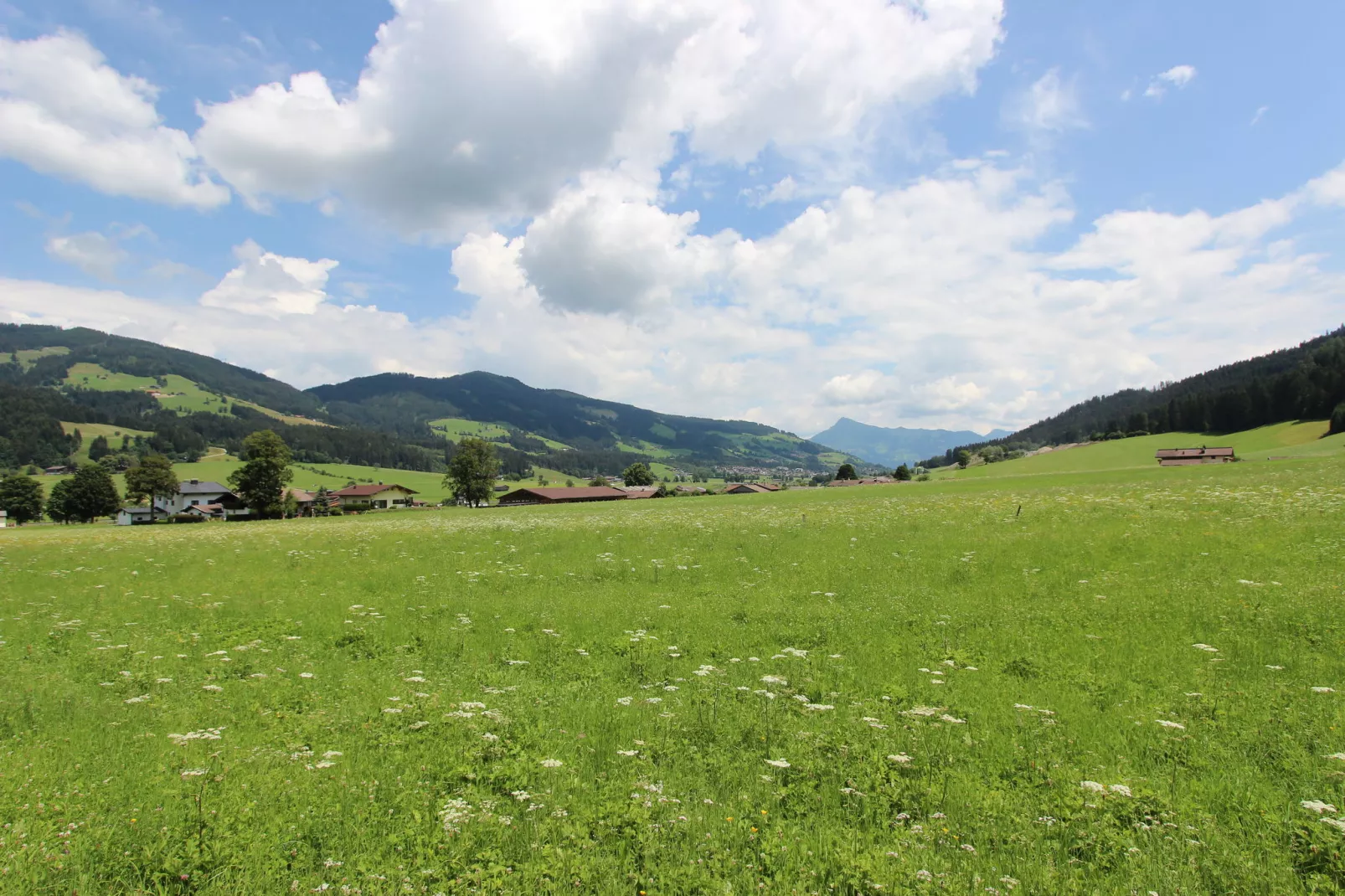 Haus Harpfen-Areas summer 20km