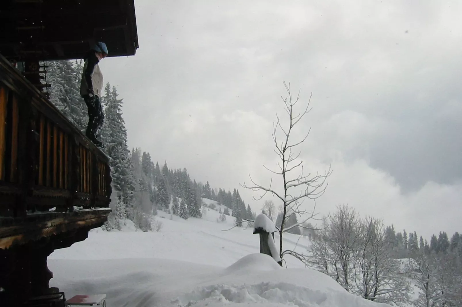 Chalet Hogleit-Vue d'hiver