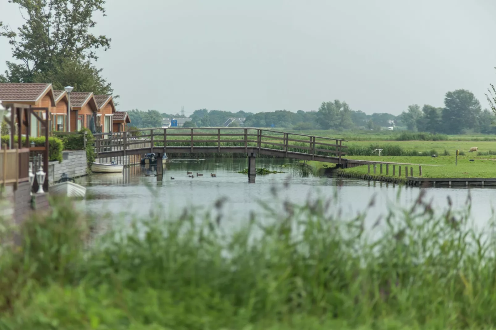 Resort de Rijp 4-Areas summer 1km