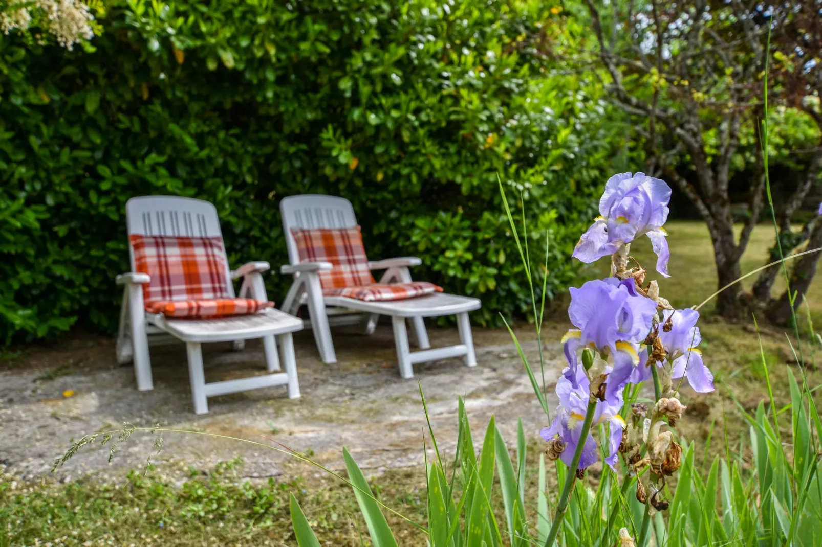 Belle maison lotoise-Jardin d'été
