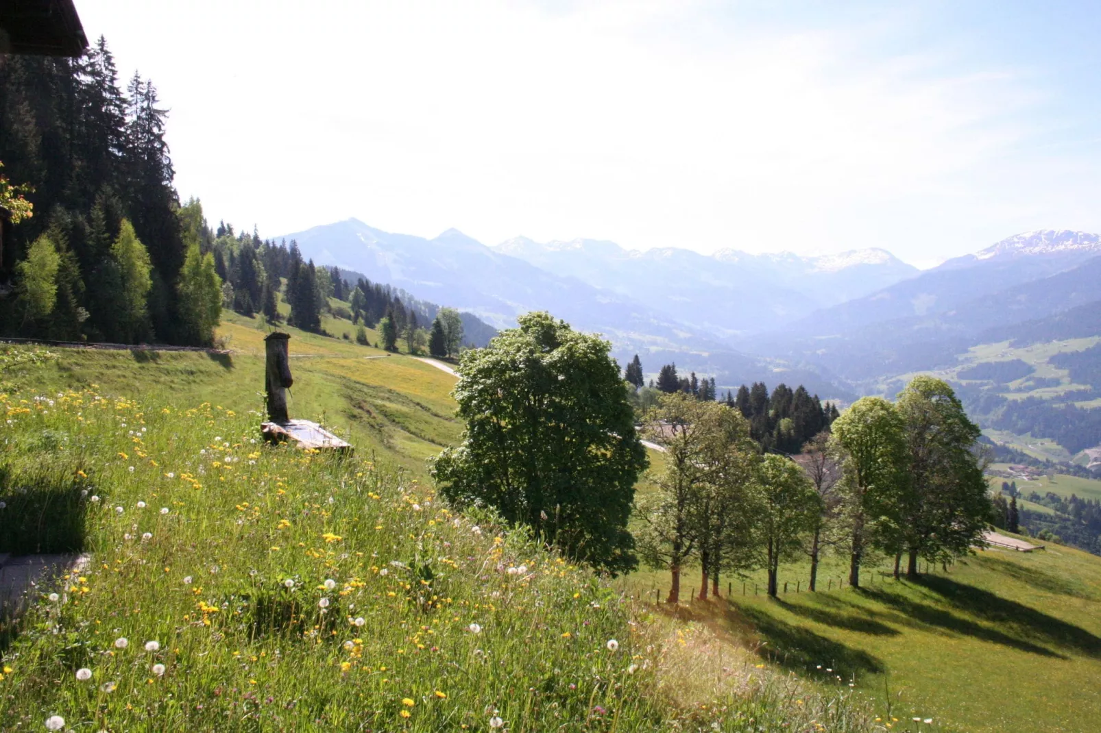 Chalet Hogleit-Vue d'été