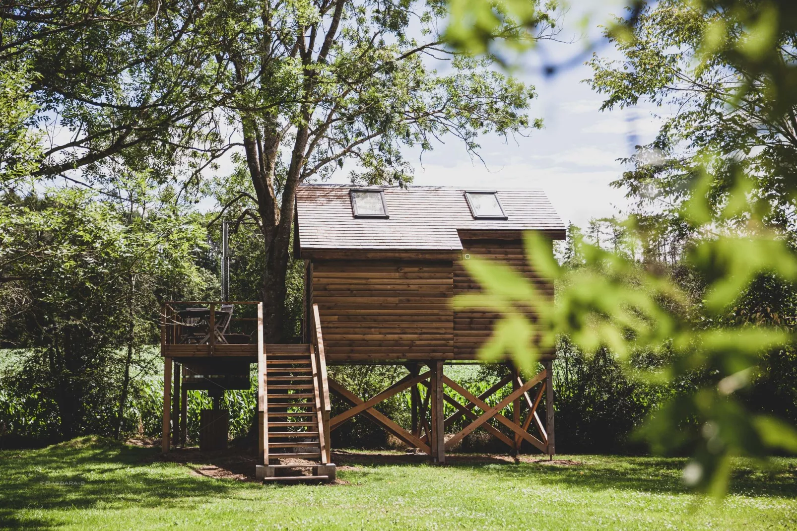 Bird Nest-Exterior summer