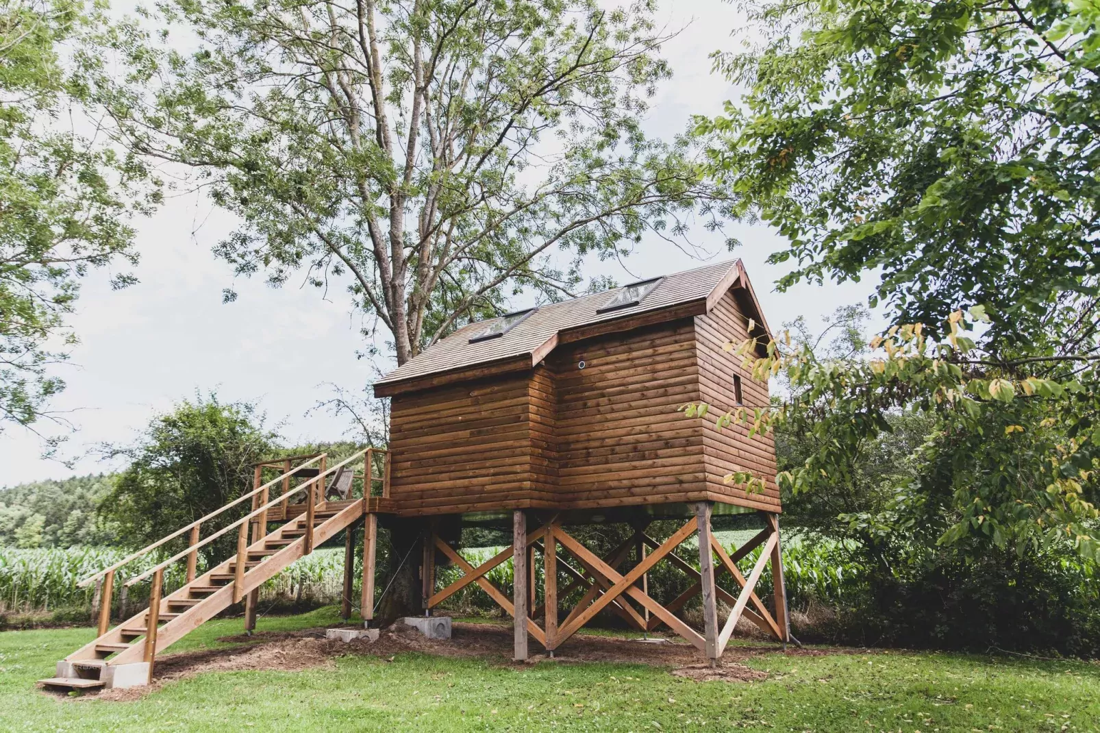 Bird Nest-Exterior summer