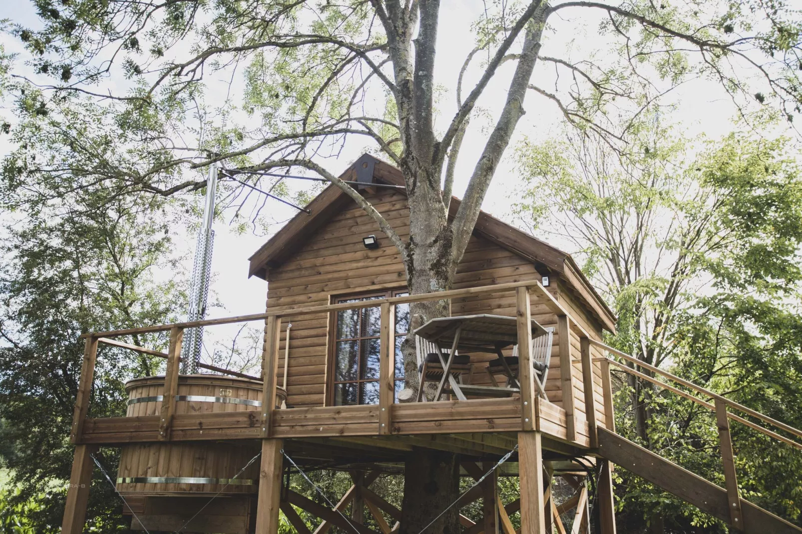 Bird Nest-Exterior summer