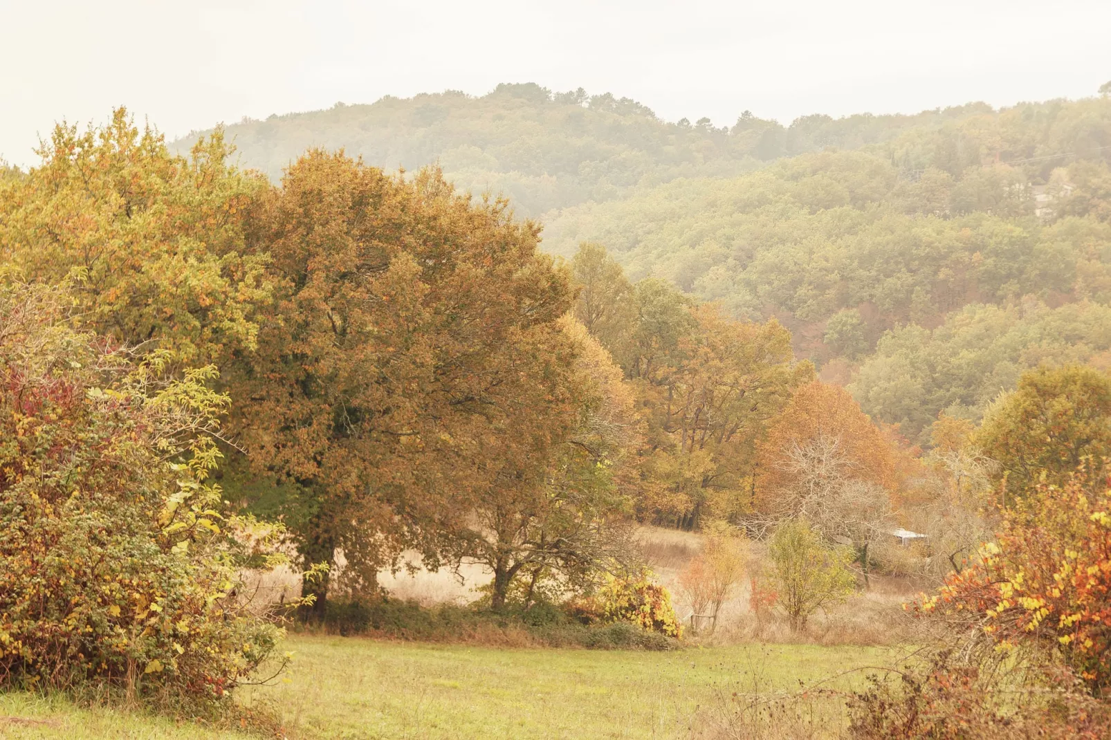 Maison de vacances - PUY-L'EVÊQUE-Zones d'été à 1 km