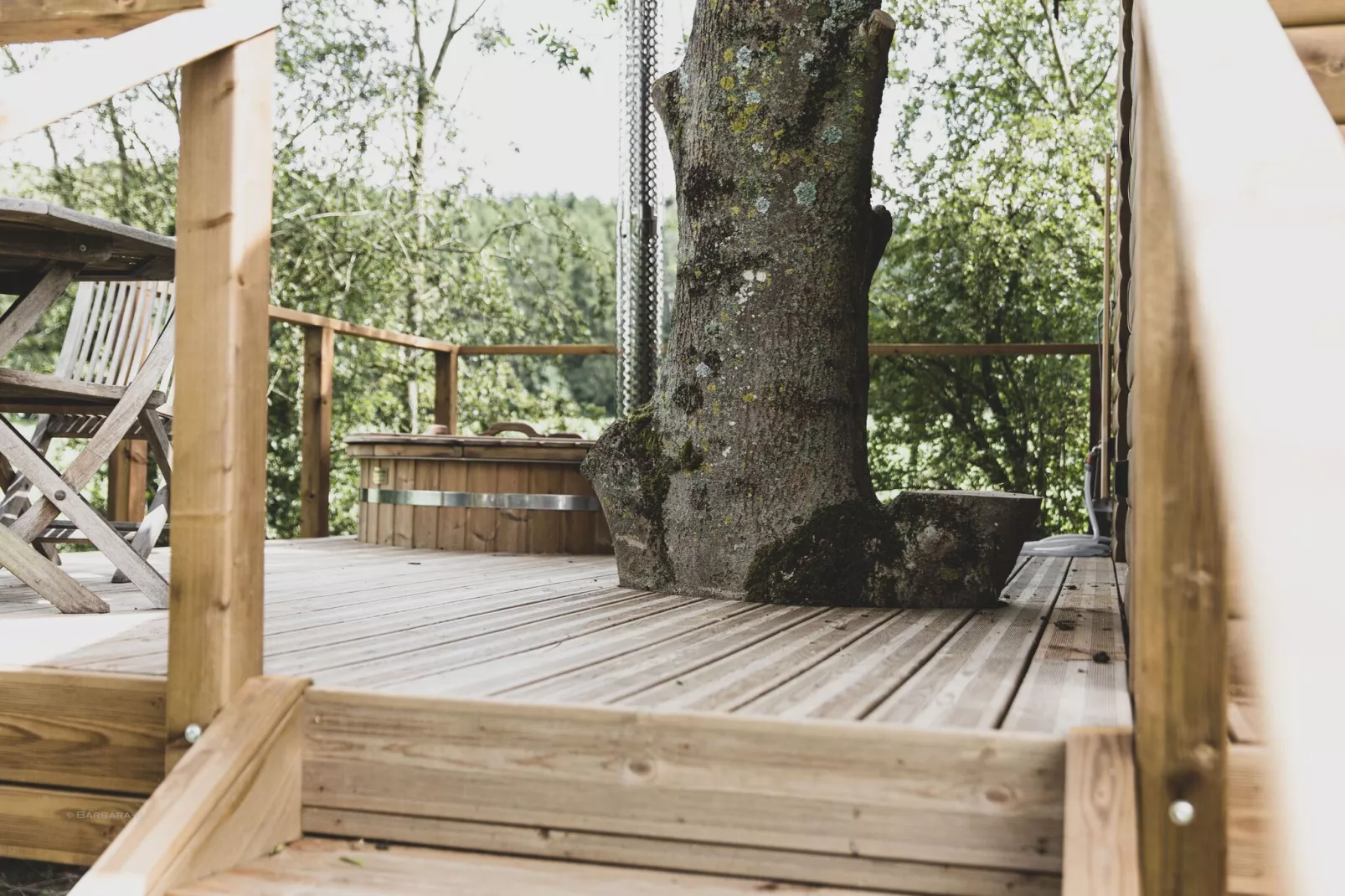 Bird Nest-Terrace balcony