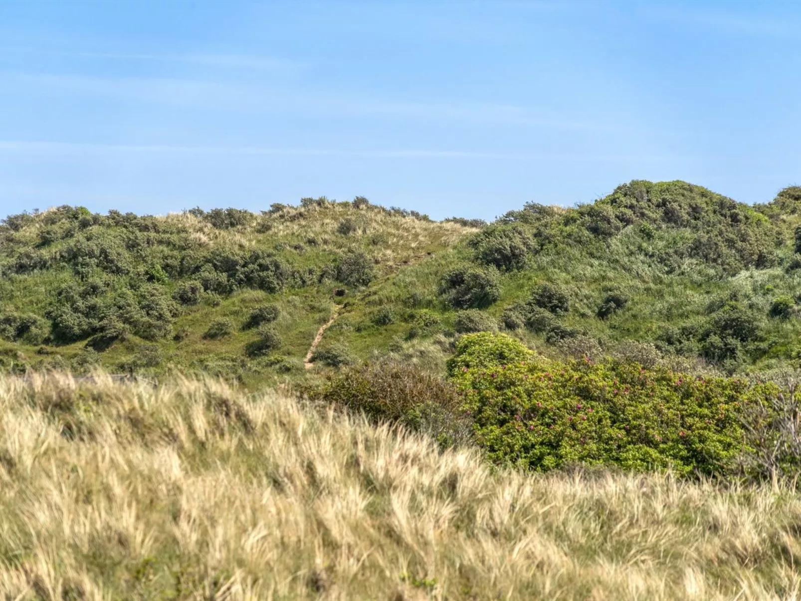 "Randulf" - 450m from the sea-Outside