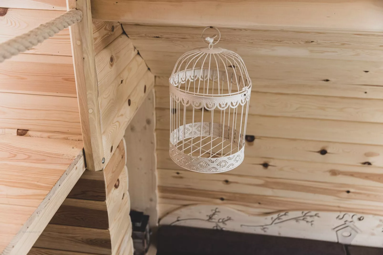 Bird Nest-Atmosphere
